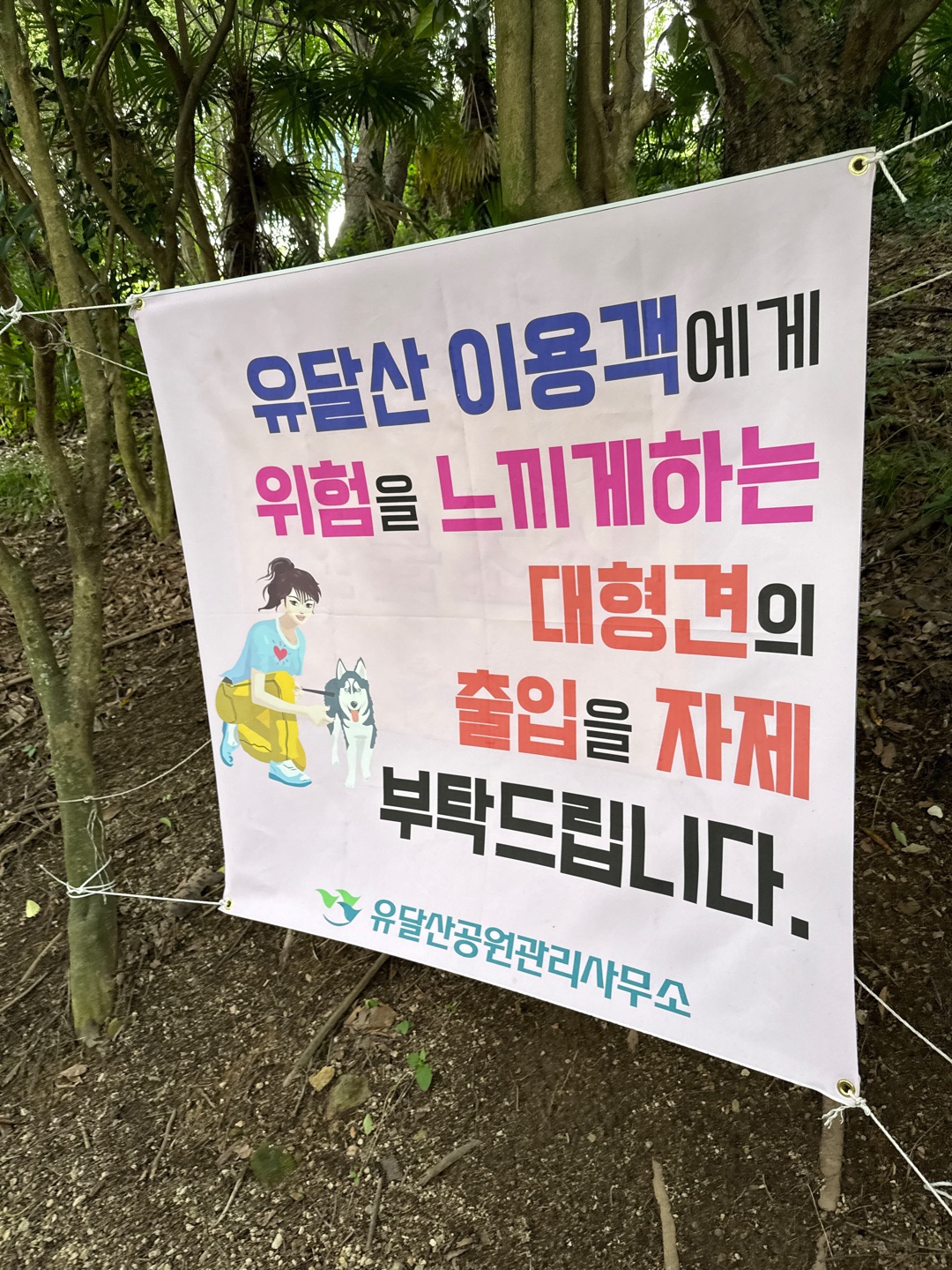 유달산 둘레길 입구마다 걸려져 있는 현수막 입니다
